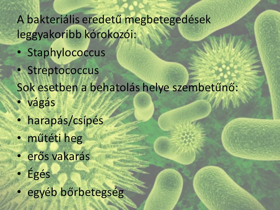 baktériumok által okozott baktériumok parazita pásztázó szó